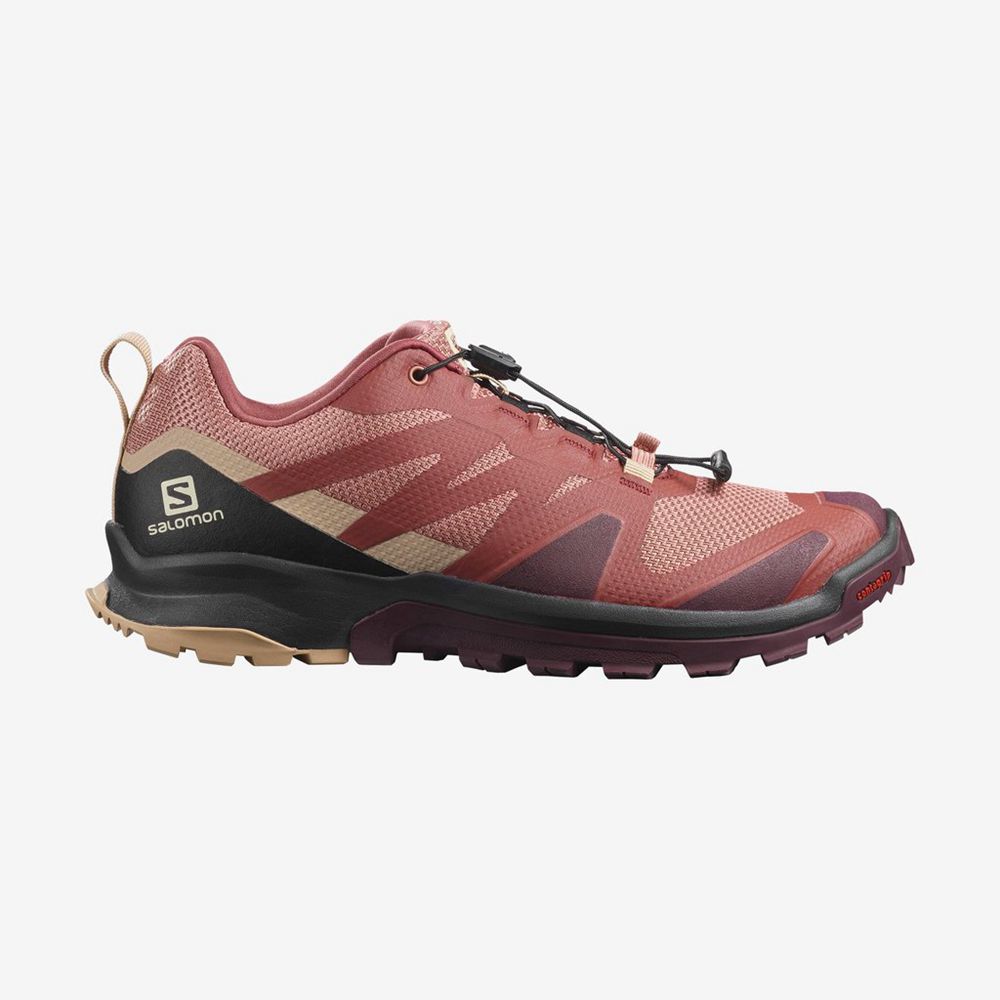 Salomon Israel XA ROGG - Womens Trail Running Shoes - Multicolor (KGZB-81374)